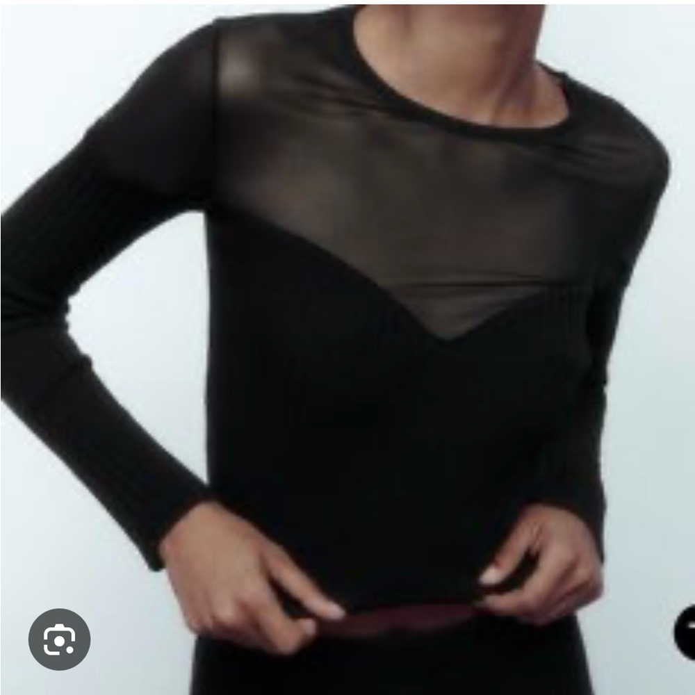Zara Black Sheer Panel Long Sleeve Top